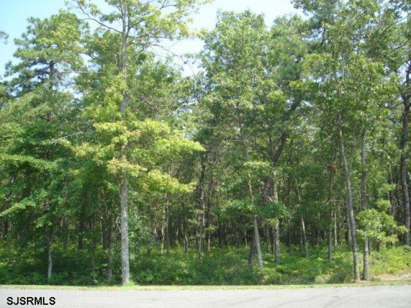 0 Cologne Avenue, Galloway Township, New Jersey 08205, ,Lots/land,For Sale,Cologne Avenue,519045