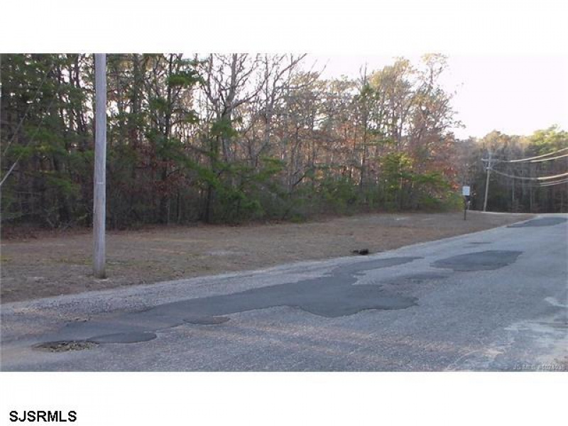 114 Lakeview Dr, Barnegat, New Jersey 08005, ,Lots/land,For Sale,Lakeview Dr,528746