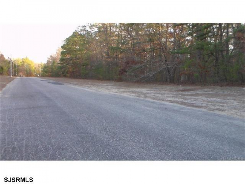 114 Lakeview Dr, Barnegat, New Jersey 08005, ,Lots/land,For Sale,Lakeview Dr,528746