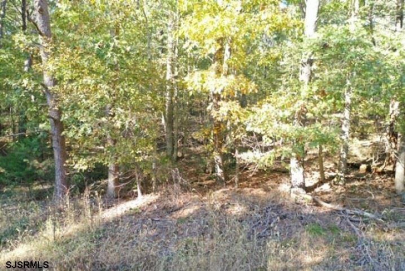 0 Fillmore, Cedarville, New Jersey 08311, ,Lots/land,For Sale,Fillmore,529703