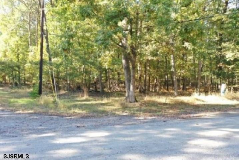 0 Fillmore, Cedarville, New Jersey 08311, ,Lots/land,For Sale,Fillmore,529703