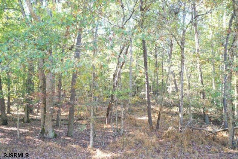 0 Fillmore, Cedarville, New Jersey 08311, ,Lots/land,For Sale,Fillmore,529703