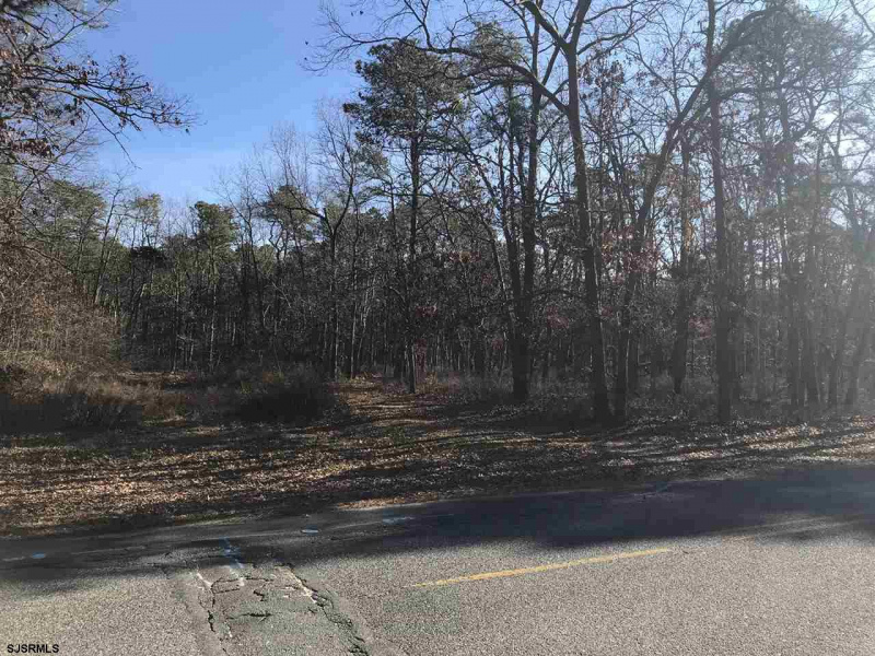 Redwood, Galloway Township, New Jersey 08205, ,Lots/land,For Sale,Redwood,532461