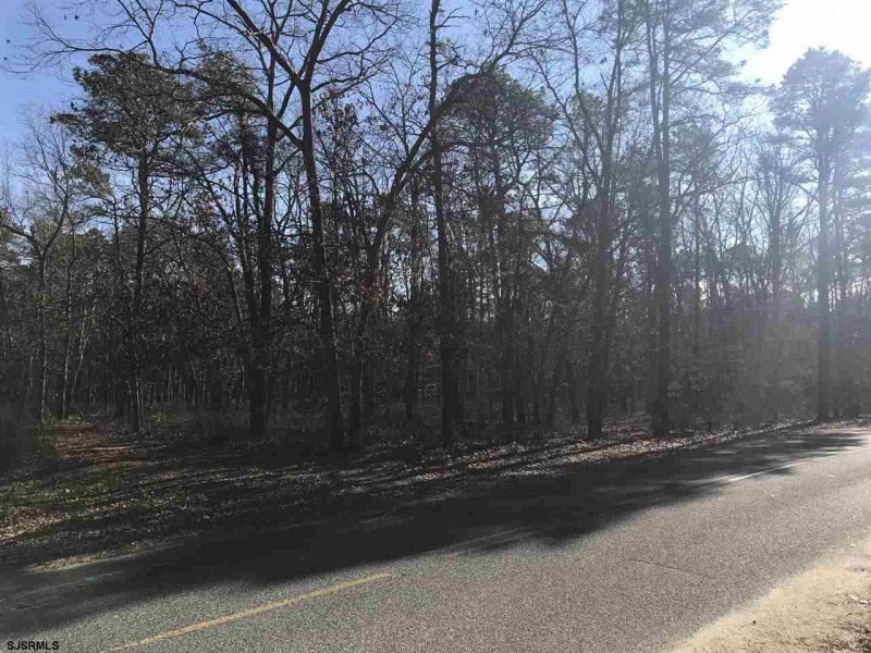 Redwood, Galloway Township, New Jersey 08205, ,Lots/land,For Sale,Redwood,532461