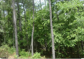 00 Chestnut, Milmay, New Jersey 08340, ,Lots/land,For Sale,Chestnut,534062