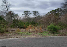 22 Christophers, Dennis Township, New Jersey 08210, ,Lots/land,For Sale,Christophers,536031