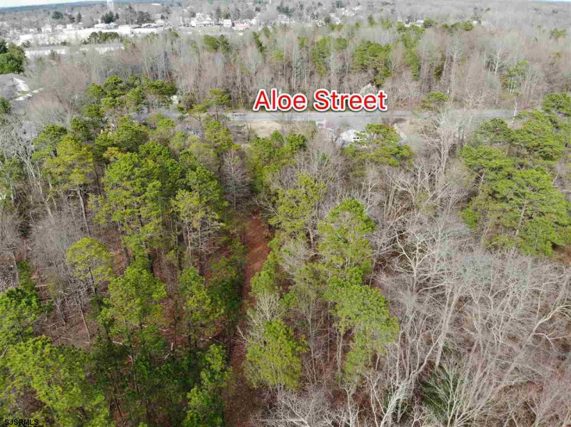 St Louis, Galloway Township, New Jersey 08215, ,Lots/land,For Sale,St Louis,536543