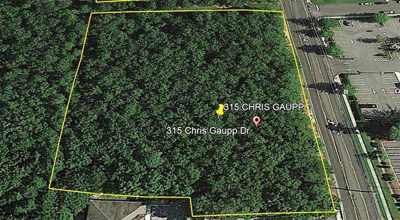 315 Chris Gaupp Drive, Galloway Township, New Jersey 08205, ,Lots/land,For Sale,Chris Gaupp Drive,534545