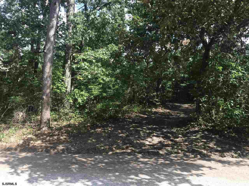 427 Highland Drive, Mays Landing, New Jersey 08330, ,Lots/land,For Sale,Highland Drive,542711