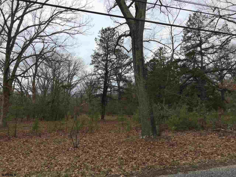 0 Holly, Hamilton Township, New Jersey 08330, ,Lots/land,For Sale,Holly,543734