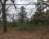 0 Holly, Hamilton Township, New Jersey 08330, ,Lots/land,For Sale,Holly,543734