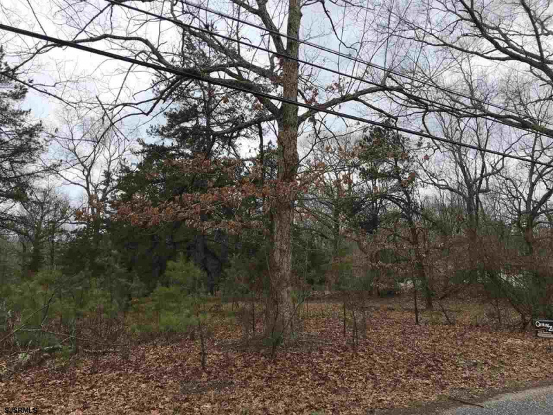 0 Holly, Hamilton Township, New Jersey 08330, ,Lots/land,For Sale,Holly,543734