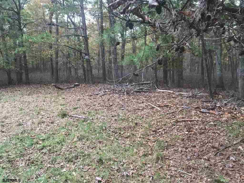 623 LOST PINE WAY, Galloway Township, New Jersey 08205, ,Lots/land,For Sale,LOST PINE WAY,544016